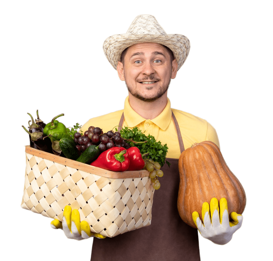 Fresh Groceries Delivery